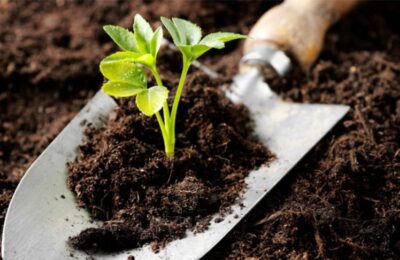 راهنمای خرید کود