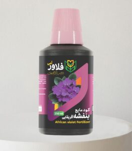 بهترین کود برای بنفشه آفریقایی